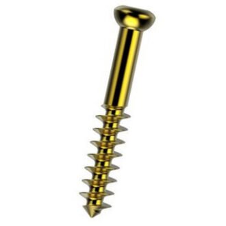 10.3 6.5 Cancellous Screw